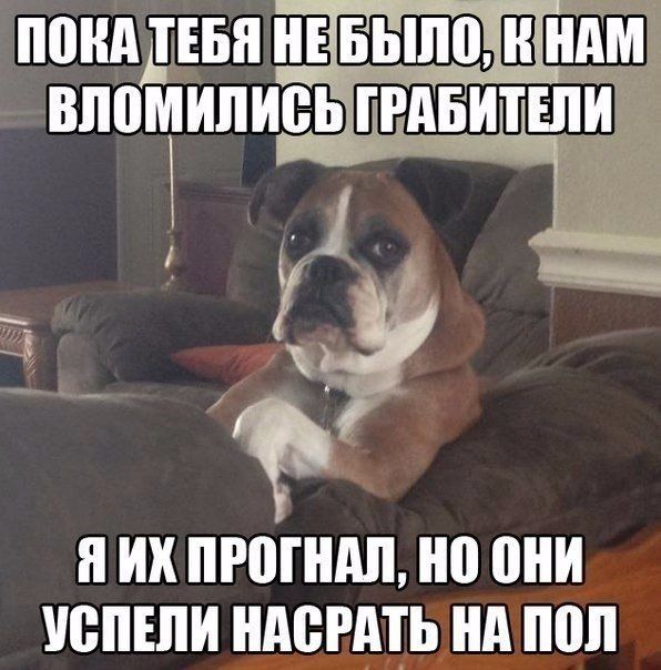 Всё не зря