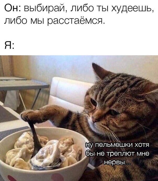 Немного картинок для настроения 05.11.20