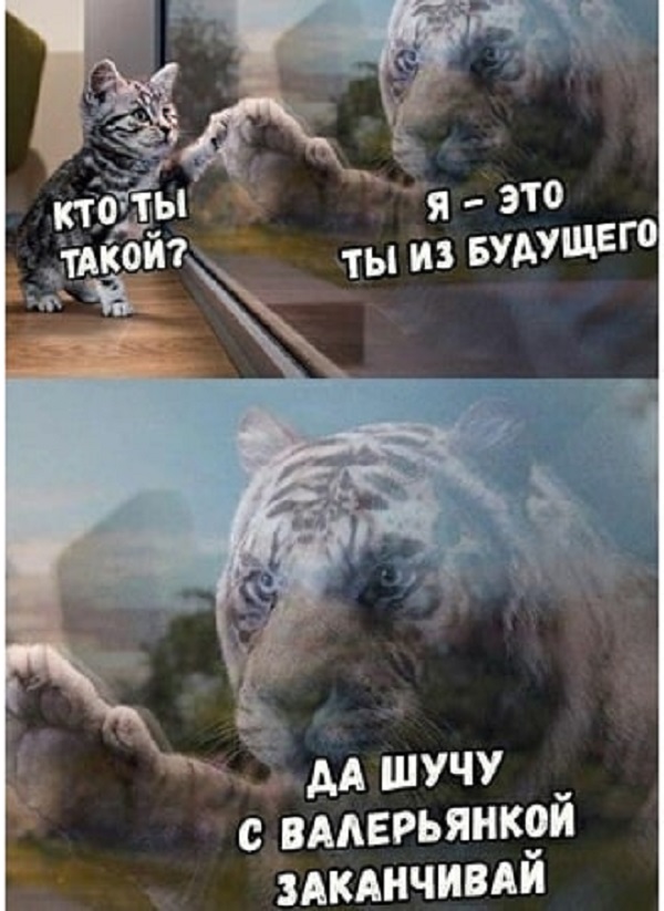 Картинки с надписями и всякие жизненные фразы