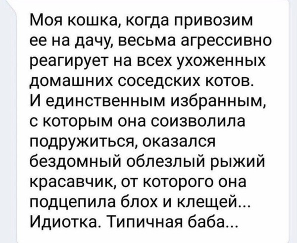 Пикчеслив 16.01.21