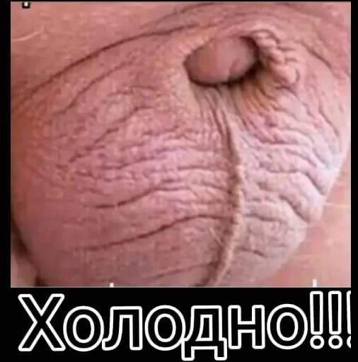 Хочу тепло, хотя бы -30