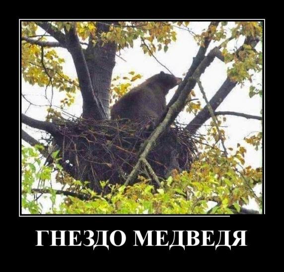 Баянисто-небаянистый юмор 3.03.21