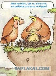 Секс на природе