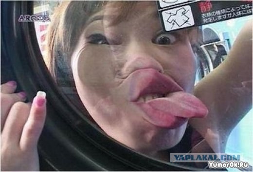 Водитель падонак