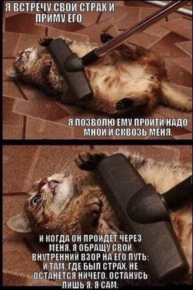 Весёлый полтишок 9.05