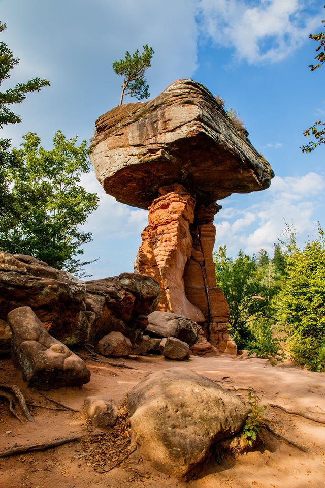 Картинки и мемы для настроения 19.05.2021