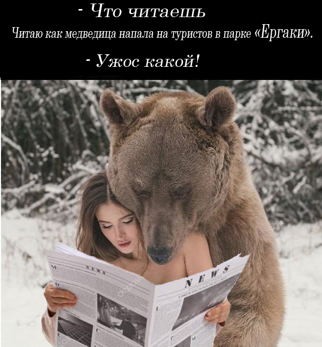 Училка и медведь читать. Медведь читает. Медведь читает книгу. Медвежонок читает. Мишка читает книгу.