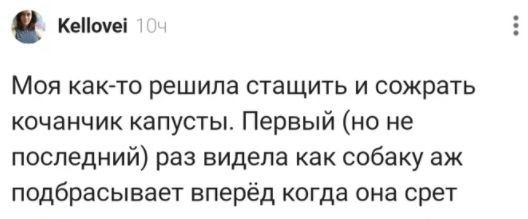 Веселые засранцы