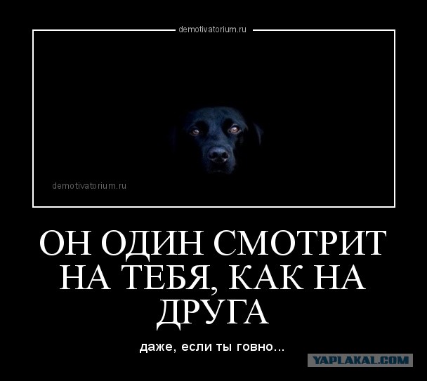 Екатерина Мизулина возложила вину за стрельбу в учебных заведениях на Моргенштерна