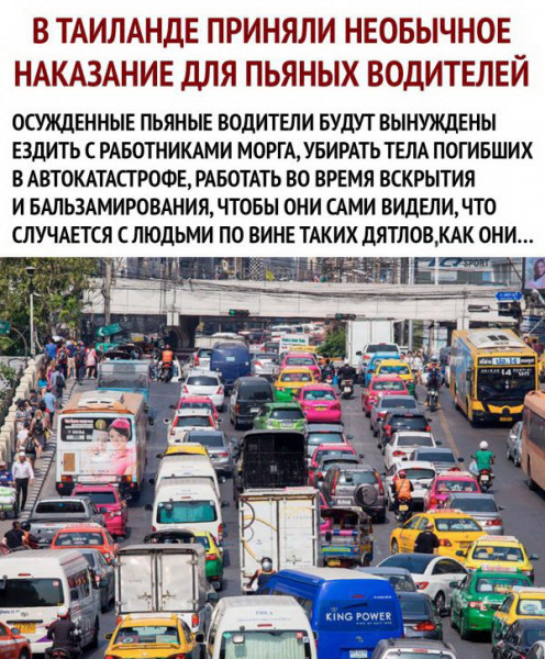Картинки и мемы для настроения 25.11.2021