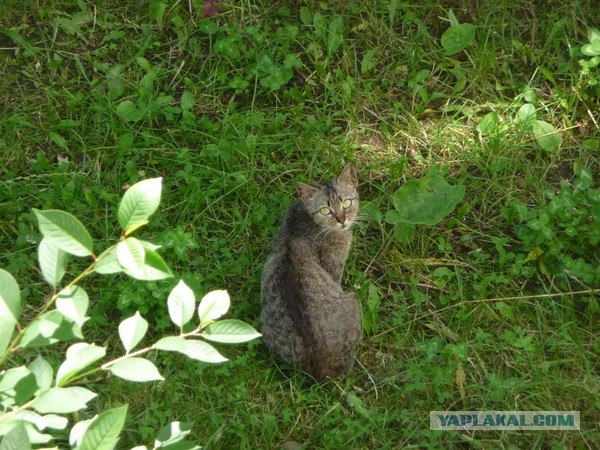 Поездка в Беларусь