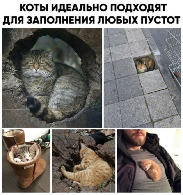 Картинки и мемы для настроения - 17