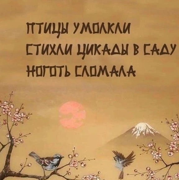 Дожили! "Не занимайтесь сексом с мясоедами"