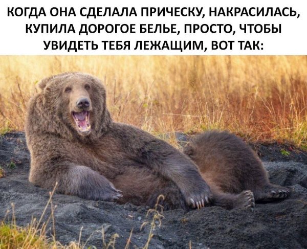 Прикольные и просто красивые картинки 13.10.2022