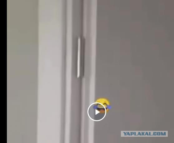Поляку оригинально установили унитаз