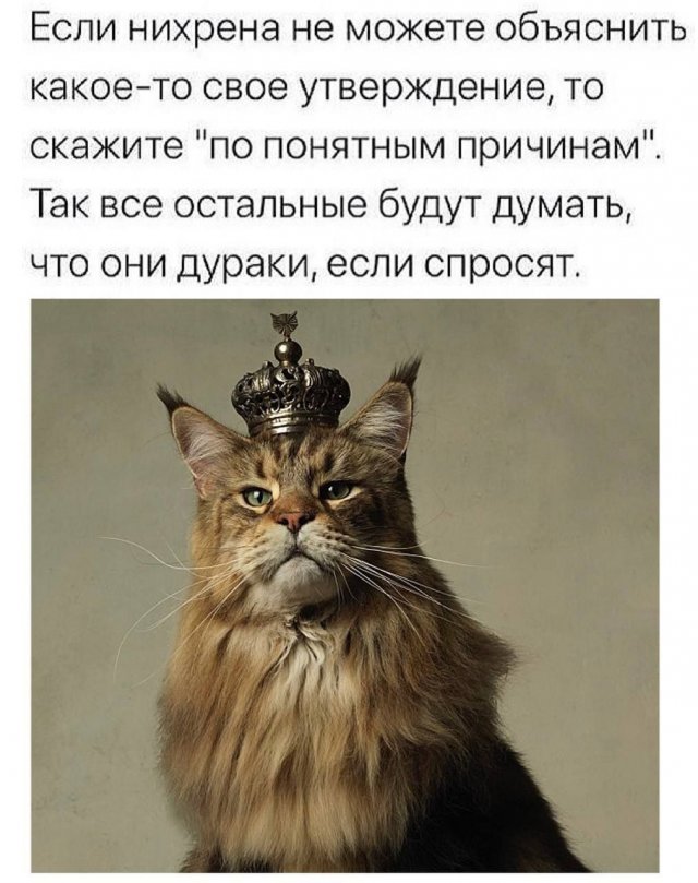 Всякая всячина