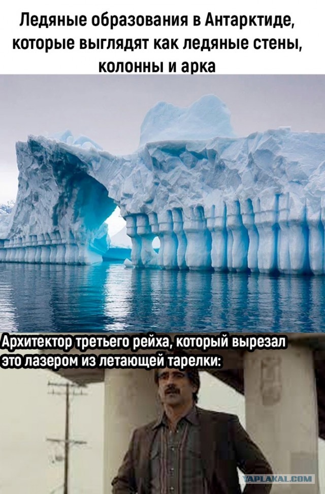 Так себе картинки 19.11.22
