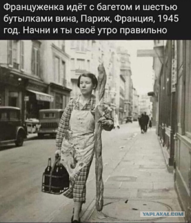 Так себе картинки 03.04.23