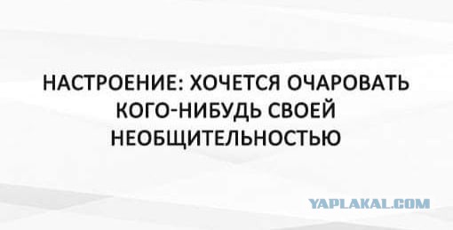 Много ли внимания должна уделять жена мужу?