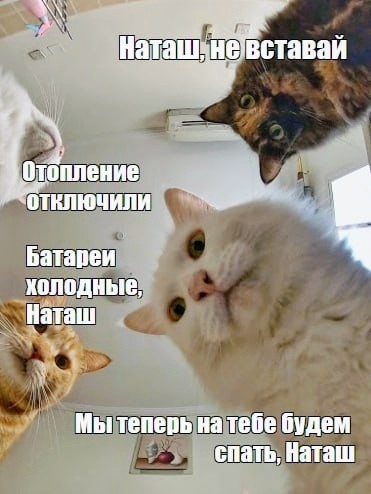 Картинки и мемы, это май-чародей всяко разно - 177