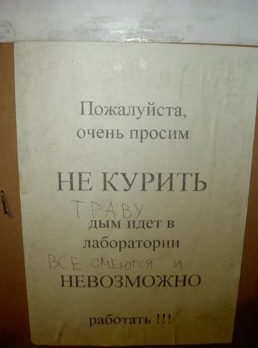 Перлы 02.11.23
