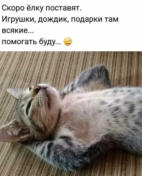 Его первый Новый год