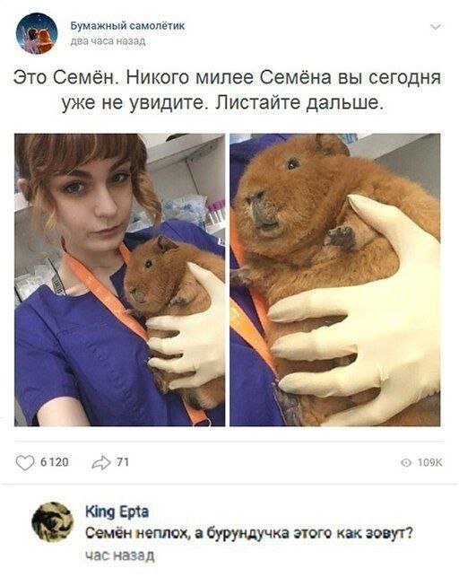 Так себе картинки 06.01.24