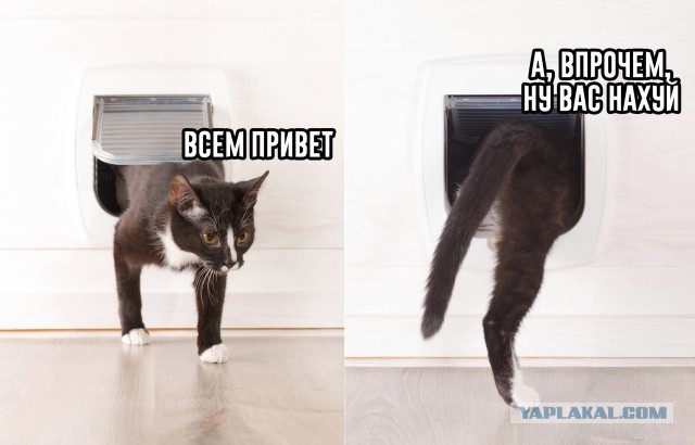 Слава Богу - я атеист 10.
