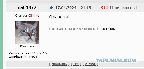 В Подмосковье кот до крови искусал проститутку, которая его избила в пьяном угаре
