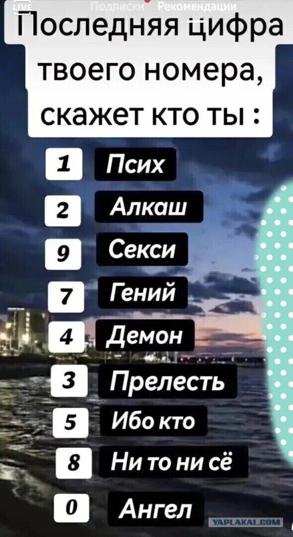 Юмор в картинках и без