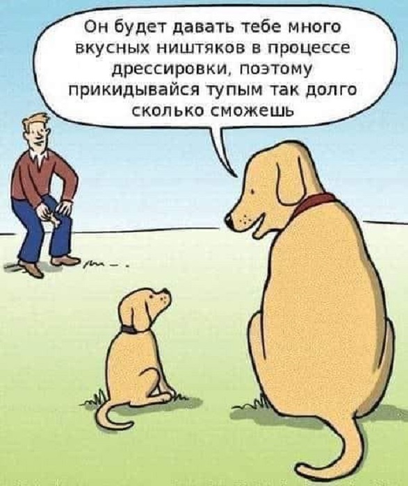 Картинки разные с надписями и без