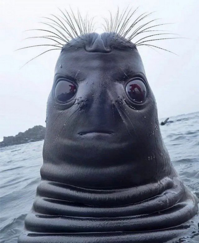 Картинки разные с надписями и без