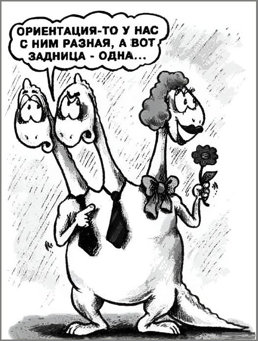 Картинки разные с надписями и без