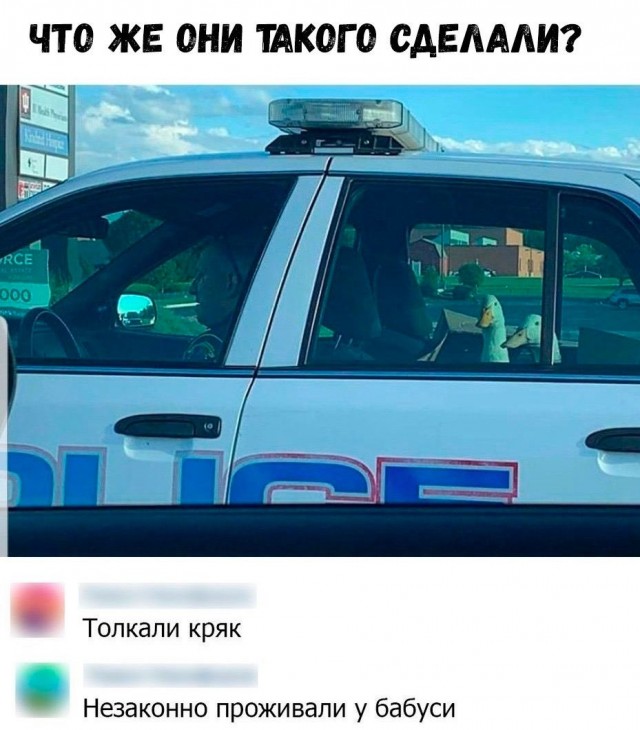 Завалялось тут случайно немного забавных картинок
