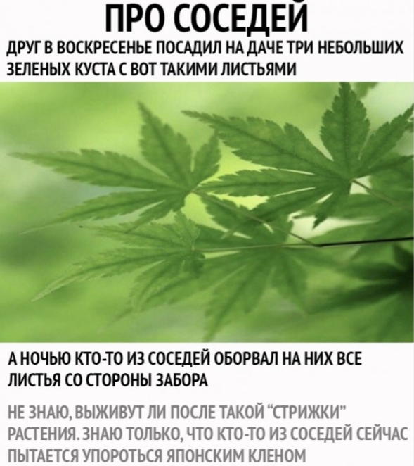 Так себе картинки 11.10.24