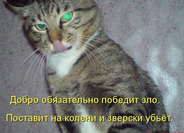 Борьба добра с маленьким злом