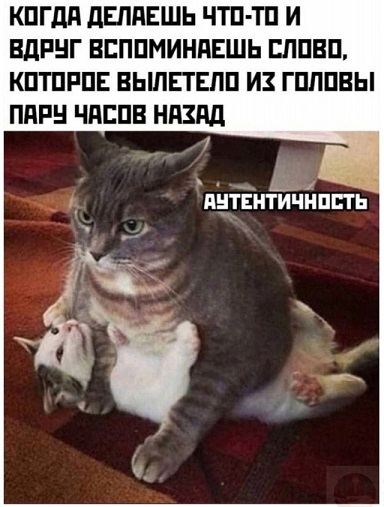 Сегодня есть, а завтра нет