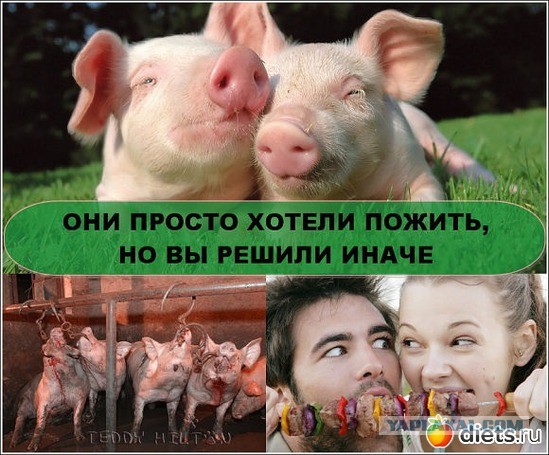 Не понятно кто на кого охотится