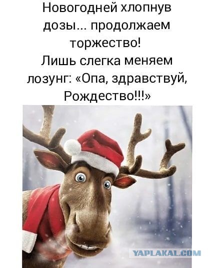 Баяны, очень баяны, но думаю улыбнёт