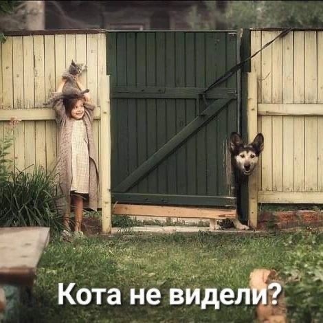 Прикольные и просто красивые картинки 16.05.2025