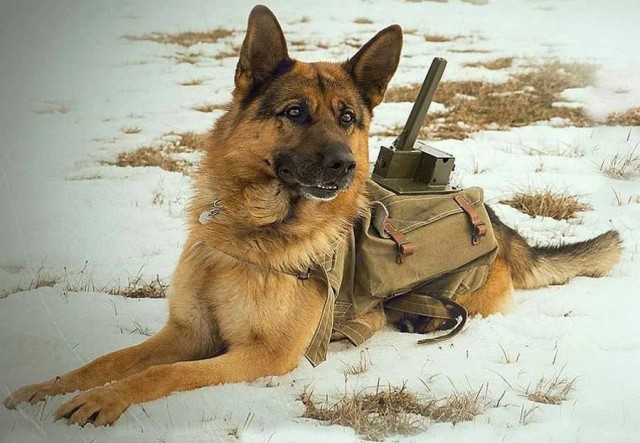 Фотографии из прошлого нашей страны – 127