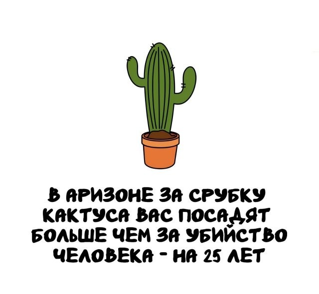 Интересные и короткие факты на все случаи жизни 05.01.26