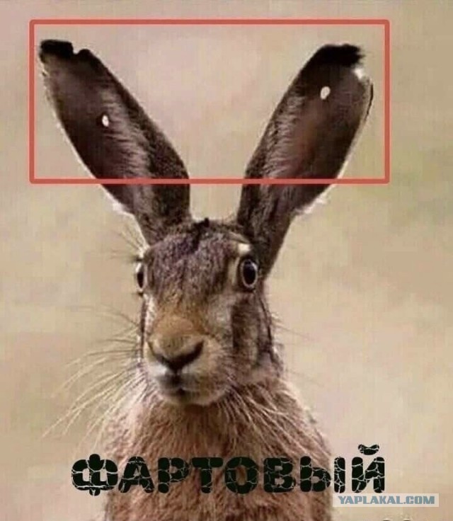 Нас не догонят!
