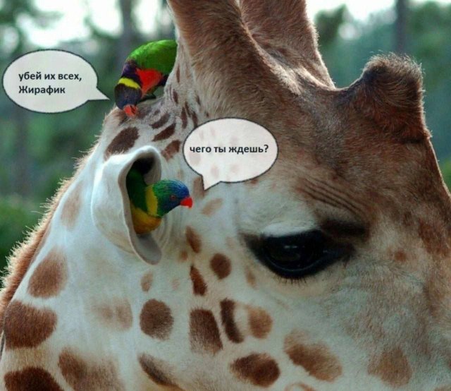 Картиночки, баянчики 8 марта