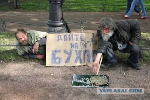 Забыл про Комаров и Мошек на Участке в Саду и Огороде