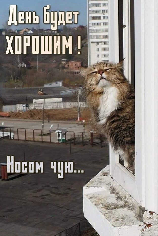 Прикольные и просто красивые картинки 01.09.2026