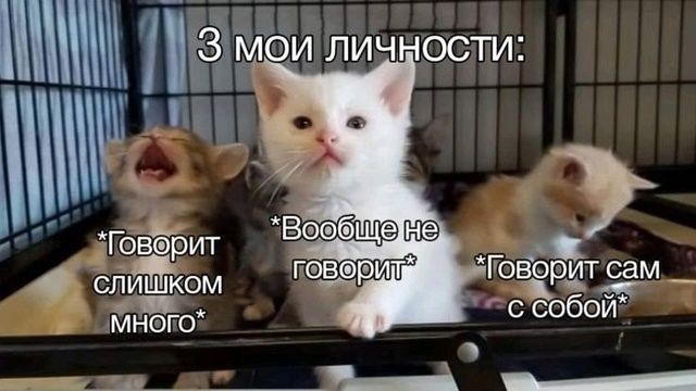 Психомемы-15