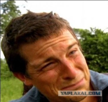 Немного упоротой эротики из соцсетей