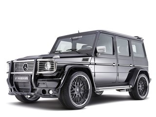 Черный волк