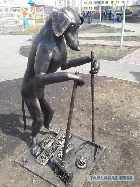 Девушка и котэ